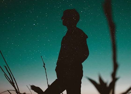 Ambrose Redmoon - Ultimate Wordpress Starter Kit Ambrose Redmoon - Ultimate Wordpress Starter Kit