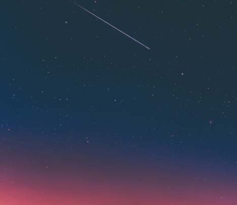 We hired a new employee - Ultimate Wordpress Starter Kit We hired a new employee - Ultimate Wordpress Starter Kit